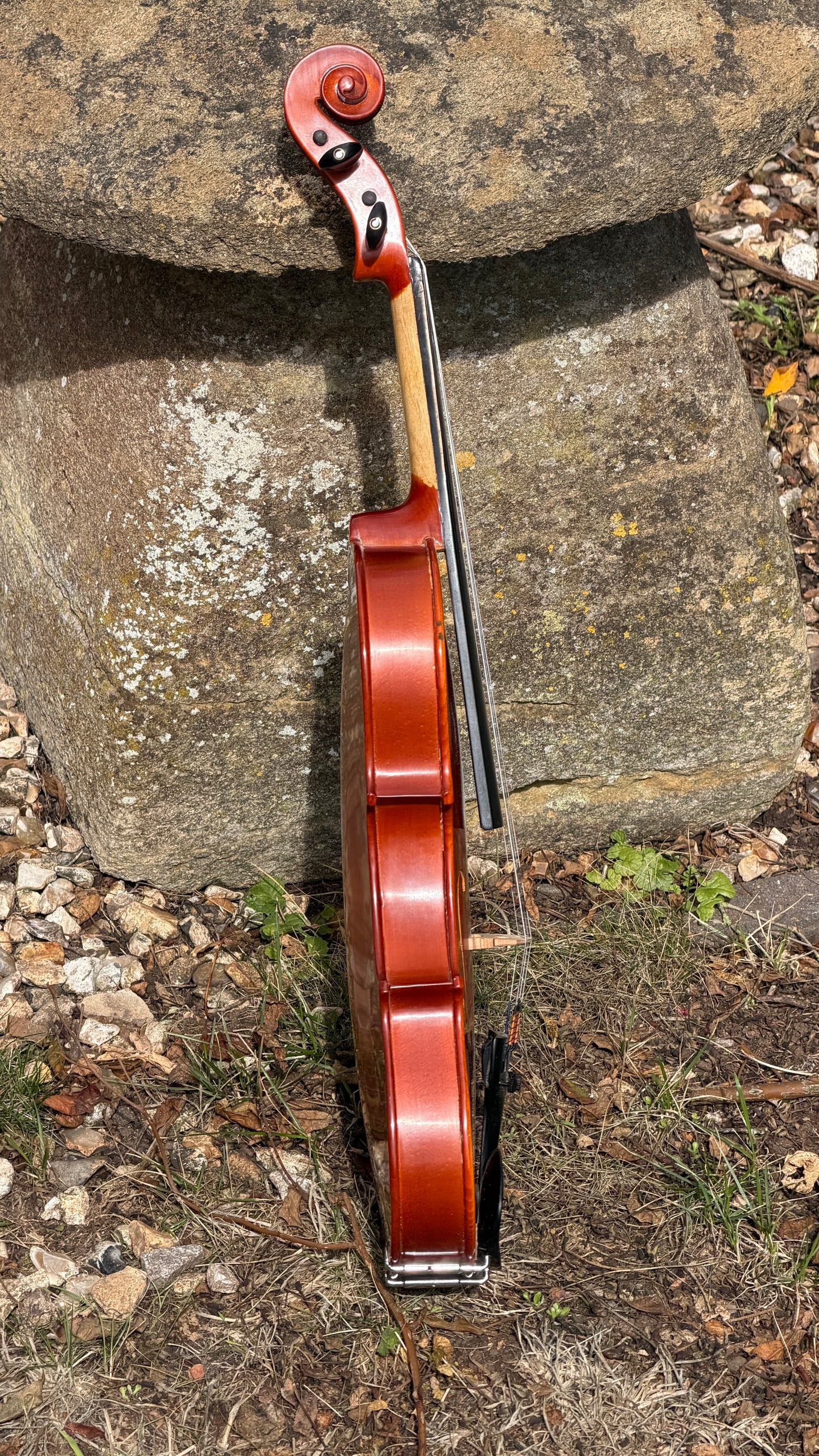 Reworked Chinese Violin