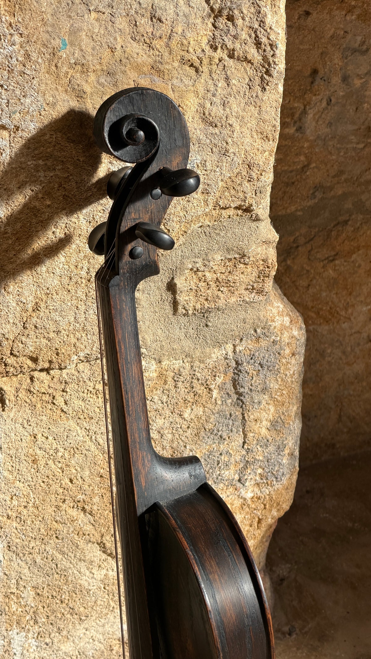 Cornerless Violin in Darkened Bog Oak (# 75)