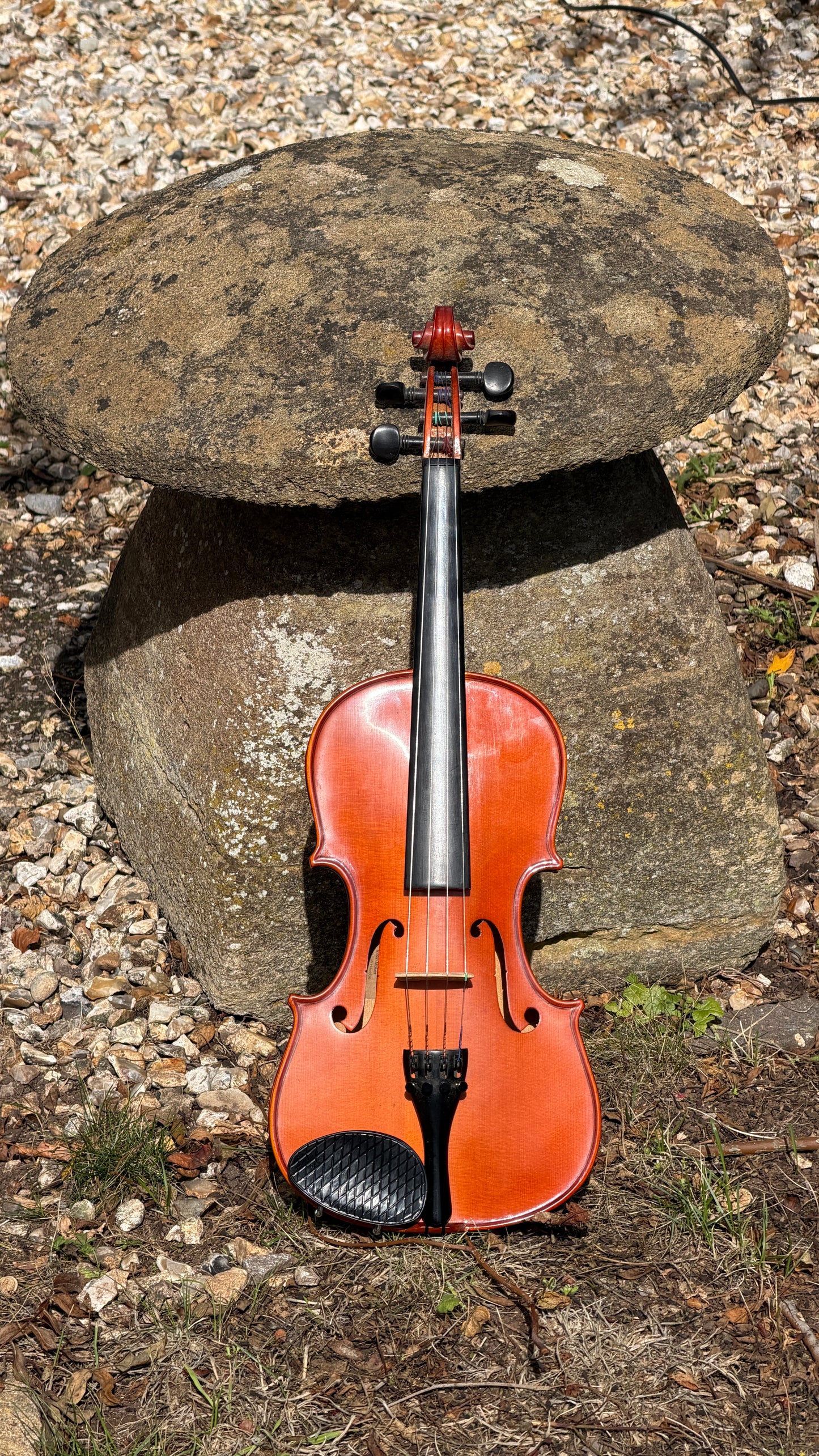 Reworked Chinese Violin