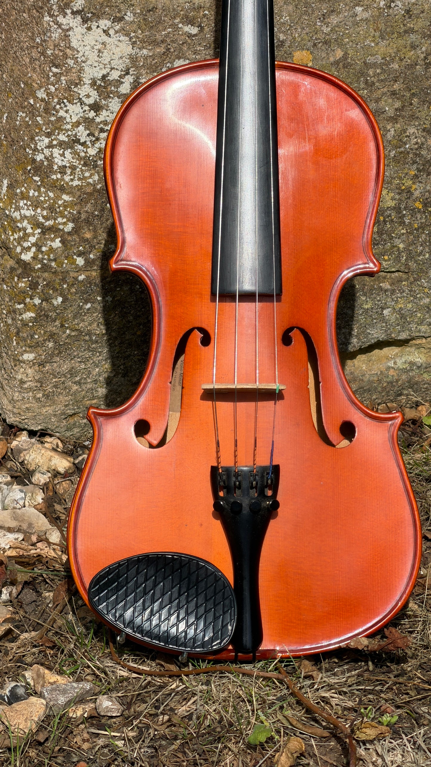 Reworked Chinese Violin
