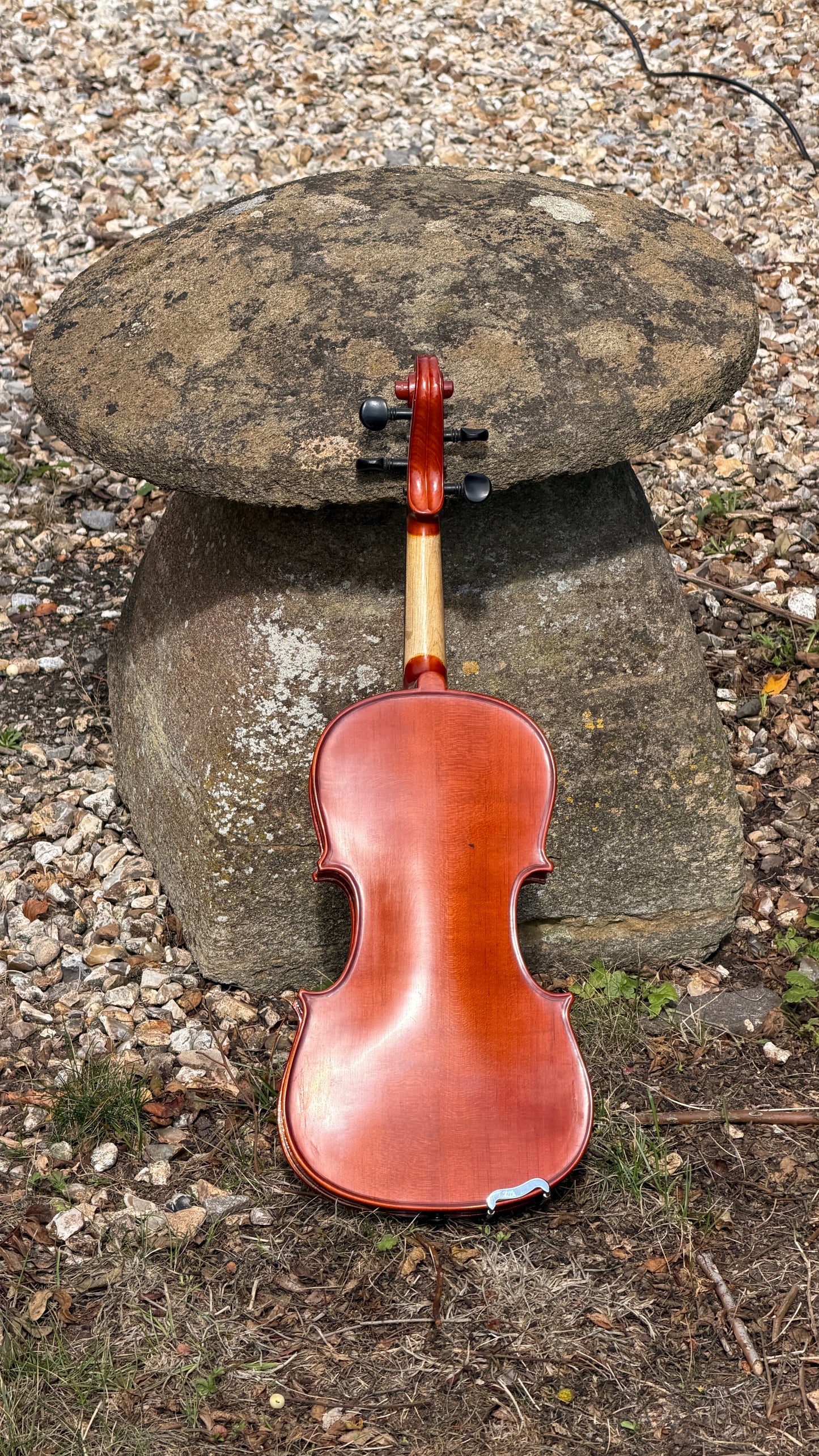 Reworked Chinese Violin
