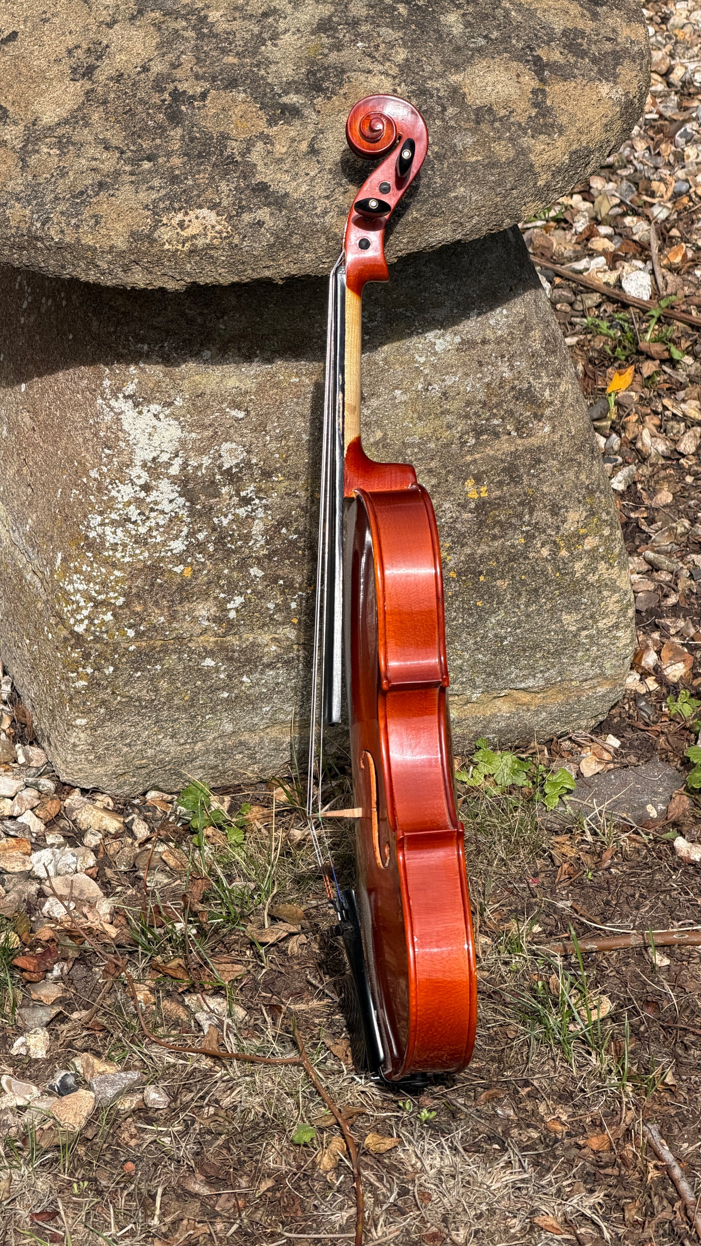 Reworked Chinese Violin