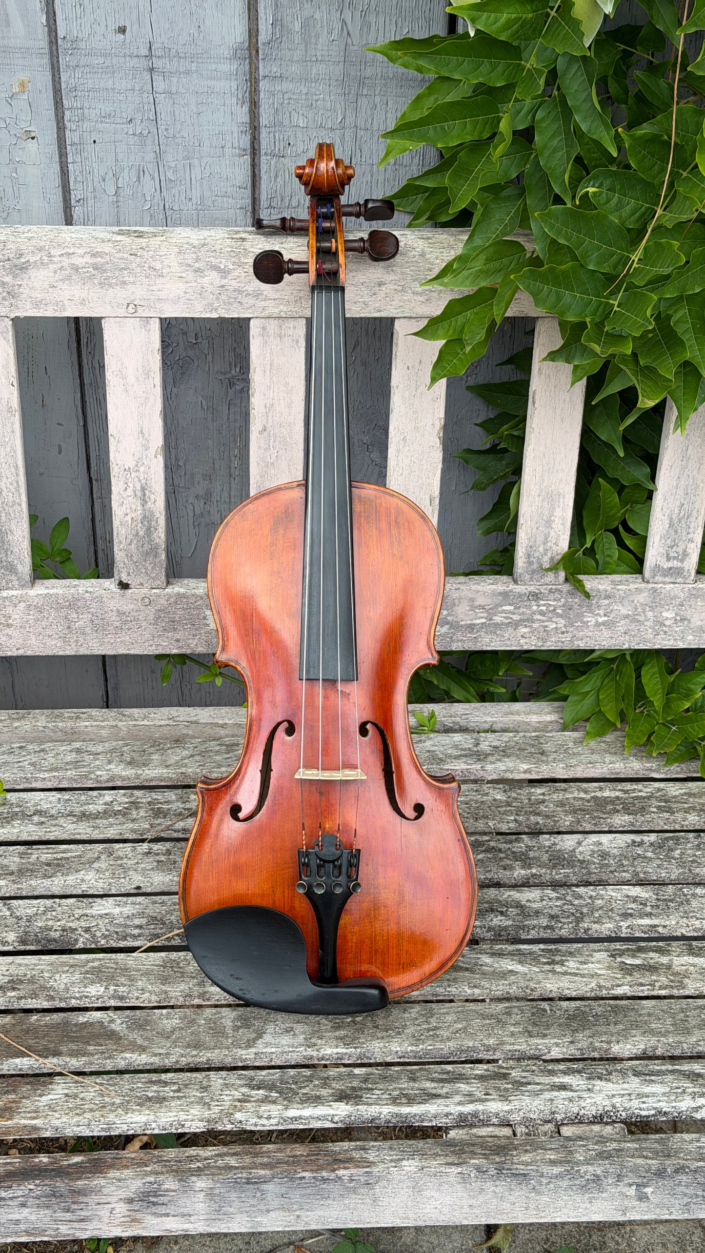 Markneukirchen Violin, early C20th. Labelled as Giuseppe Fiorini