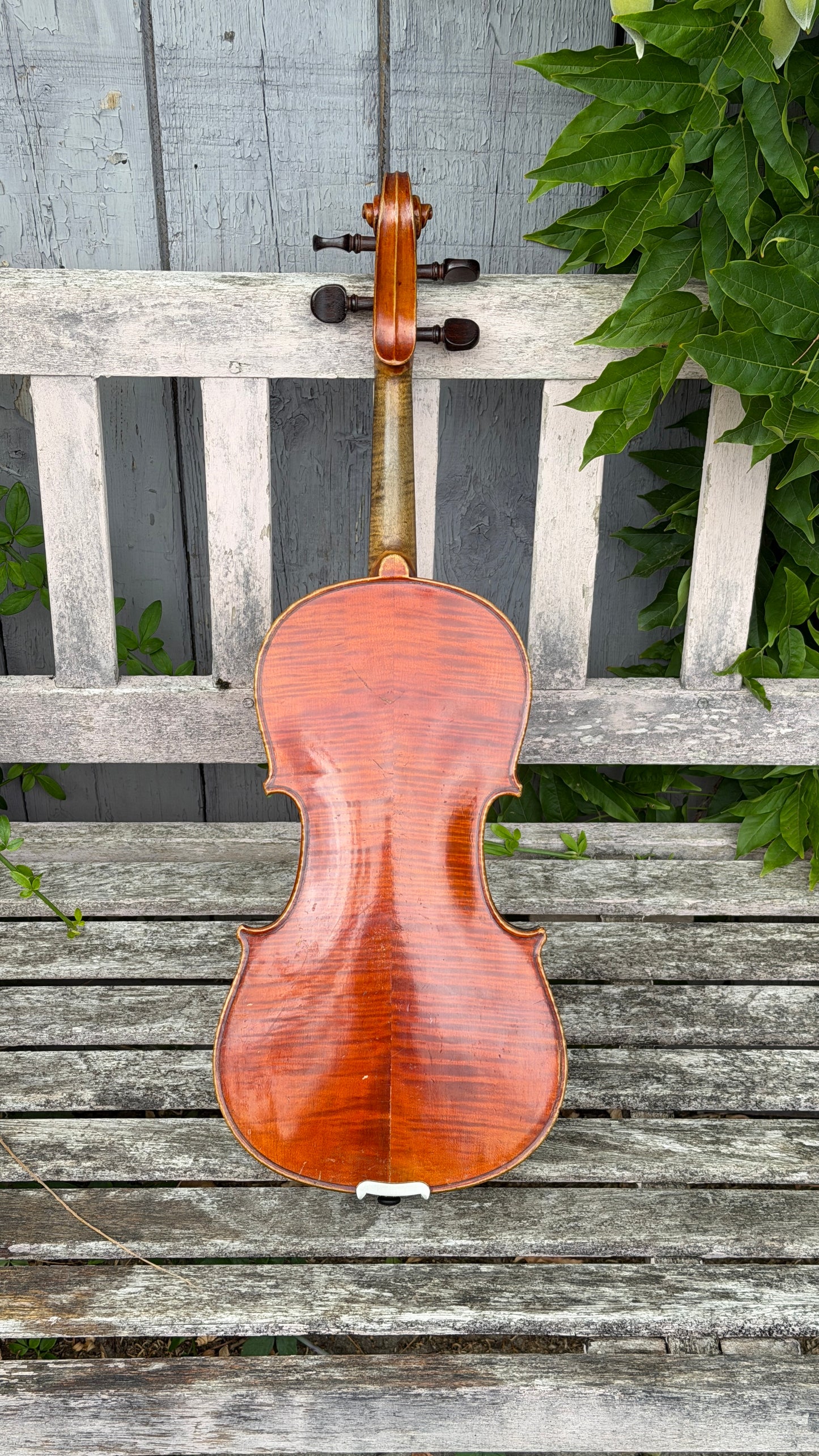Markneukirchen Violin, early C20th. Labelled as Giuseppe Fiorini