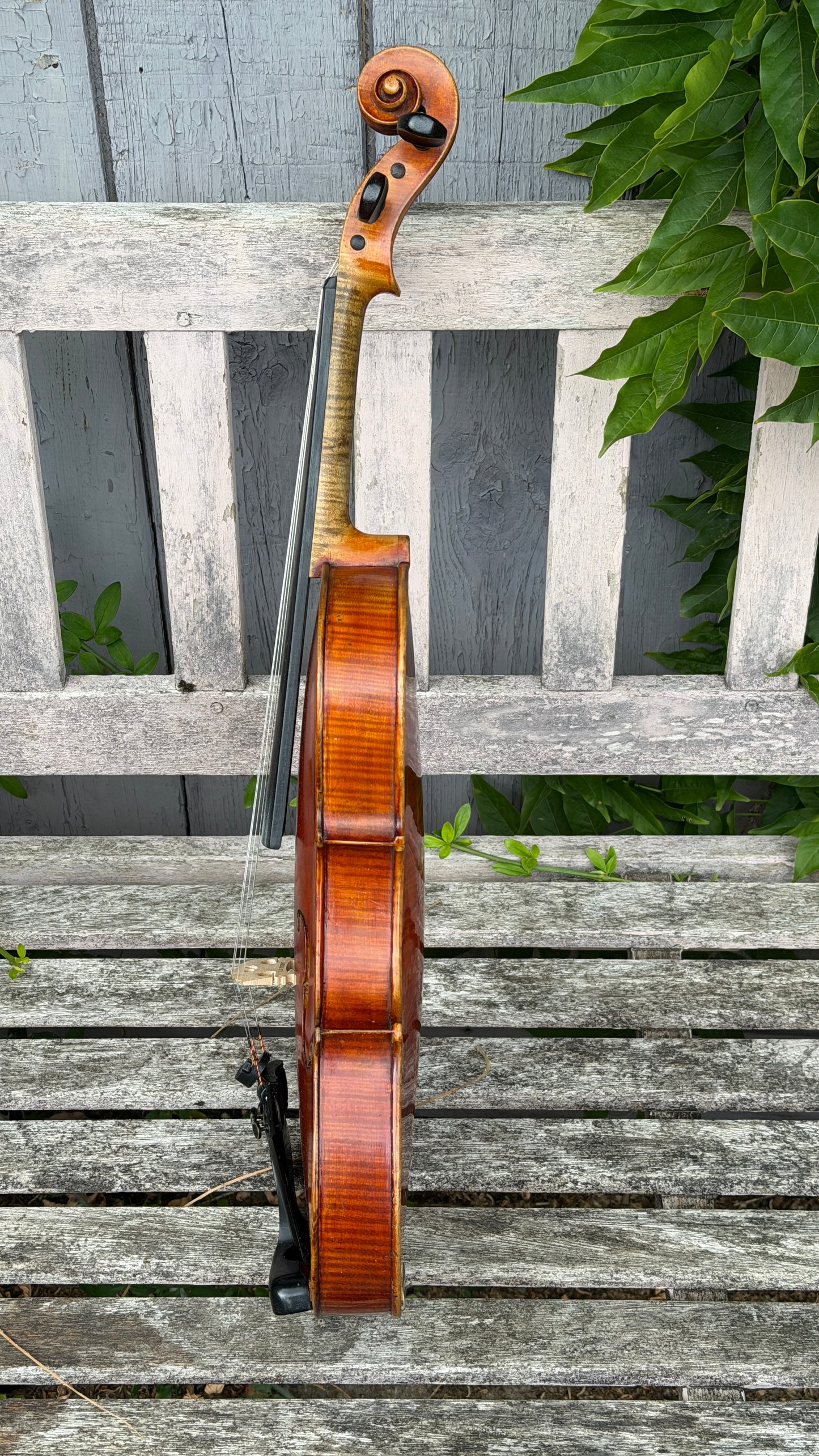 Markneukirchen Violin, early C20th. Labelled as Giuseppe Fiorini