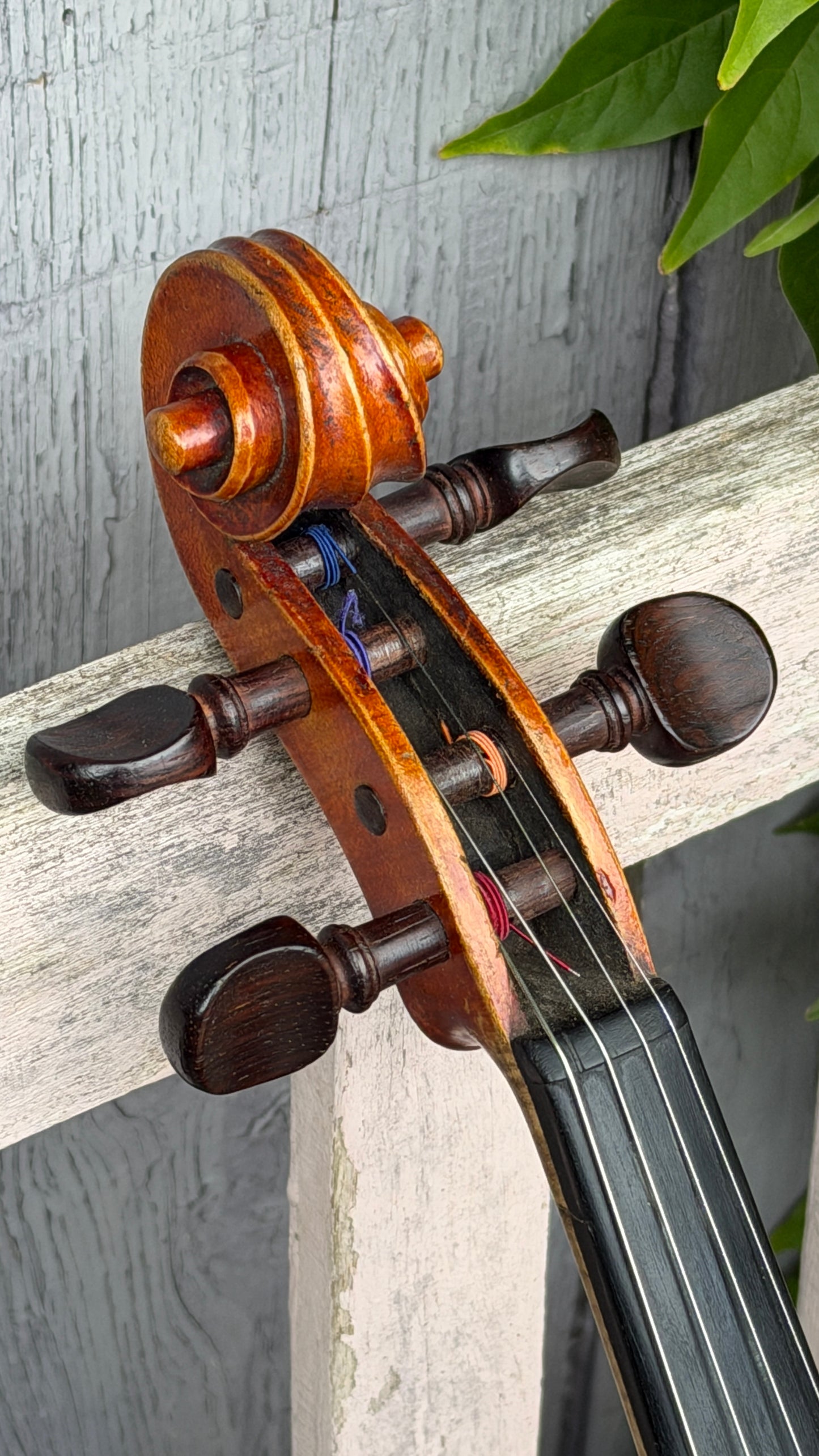 Markneukirchen Violin, early C20th. Labelled as Giuseppe Fiorini