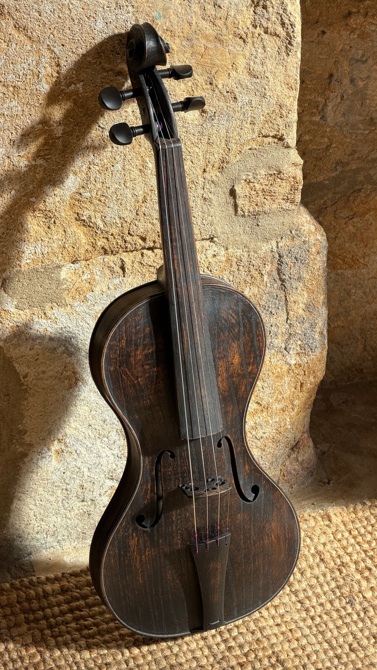 Cornerless Violin in Darkened Bog Oak (# 75)