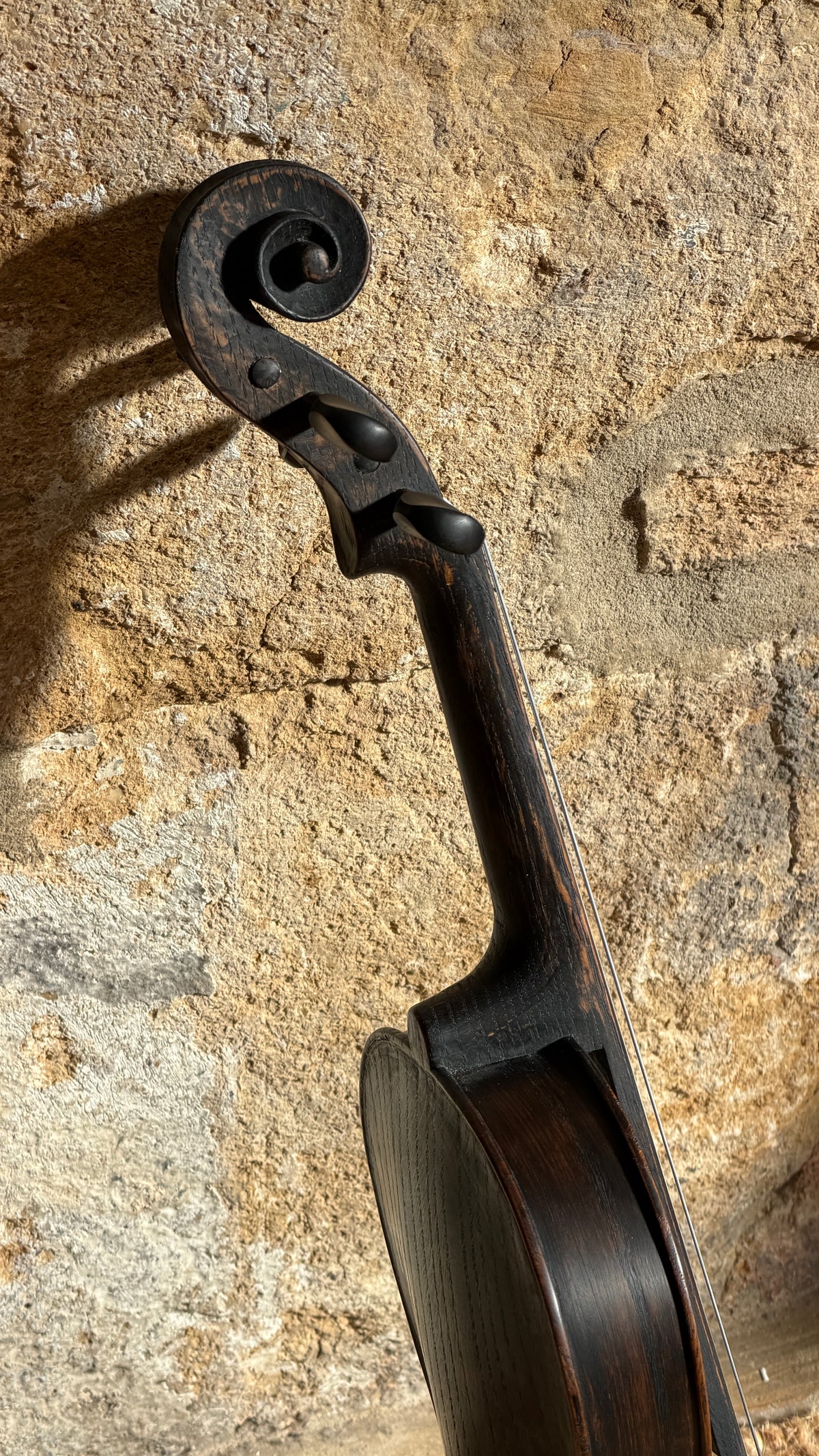 Cornerless Violin in Darkened Bog Oak (# 75)