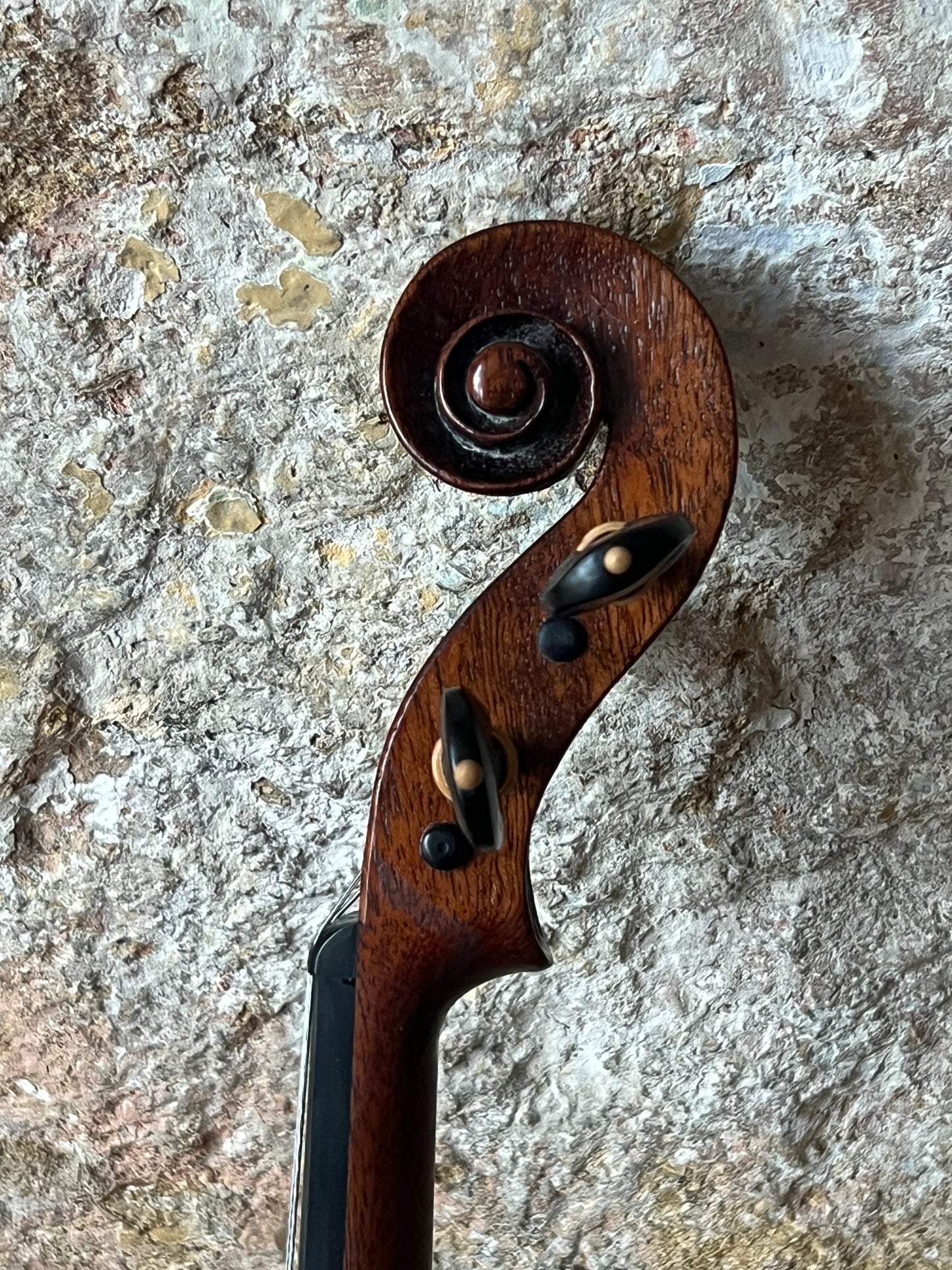 SOLD - Handmade English Violin in Spanish Cedar #44