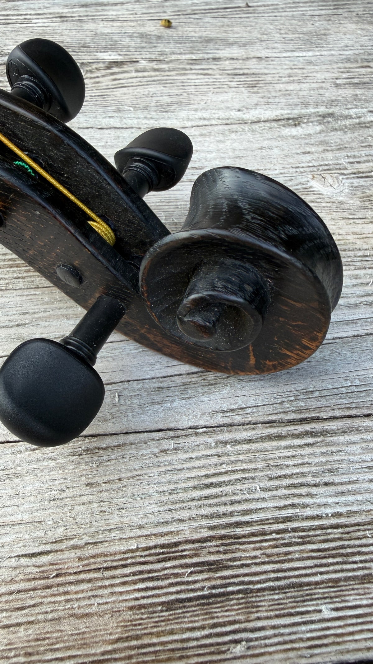 Cornerless Octave Violin in Darkened Bog Oak (# 77)