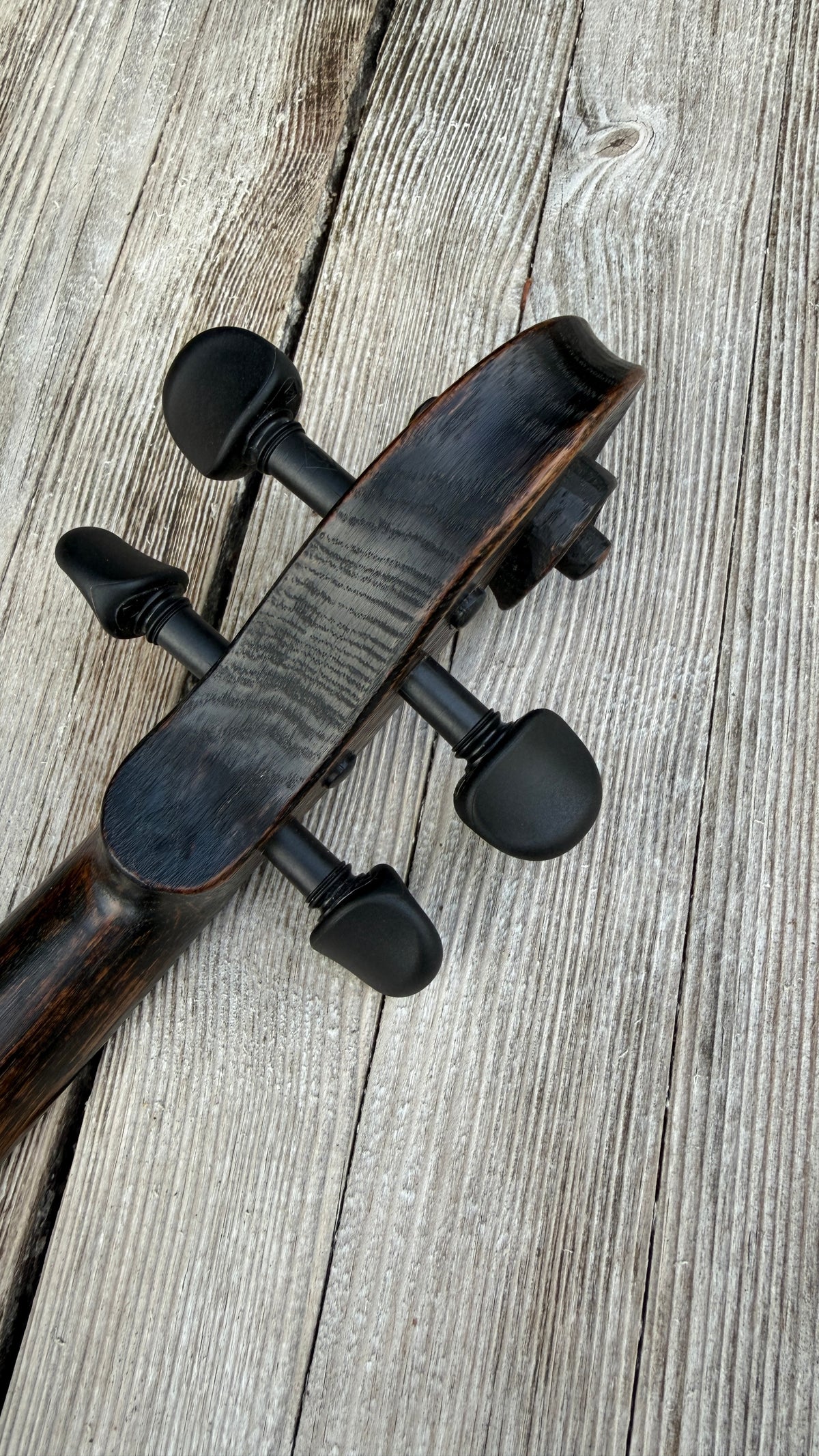 Cornerless Octave Violin in Darkened Bog Oak (# 77)