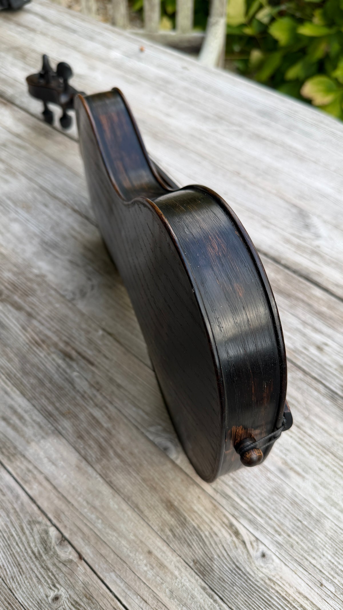 Cornerless Octave Violin in Darkened Bog Oak (# 77)