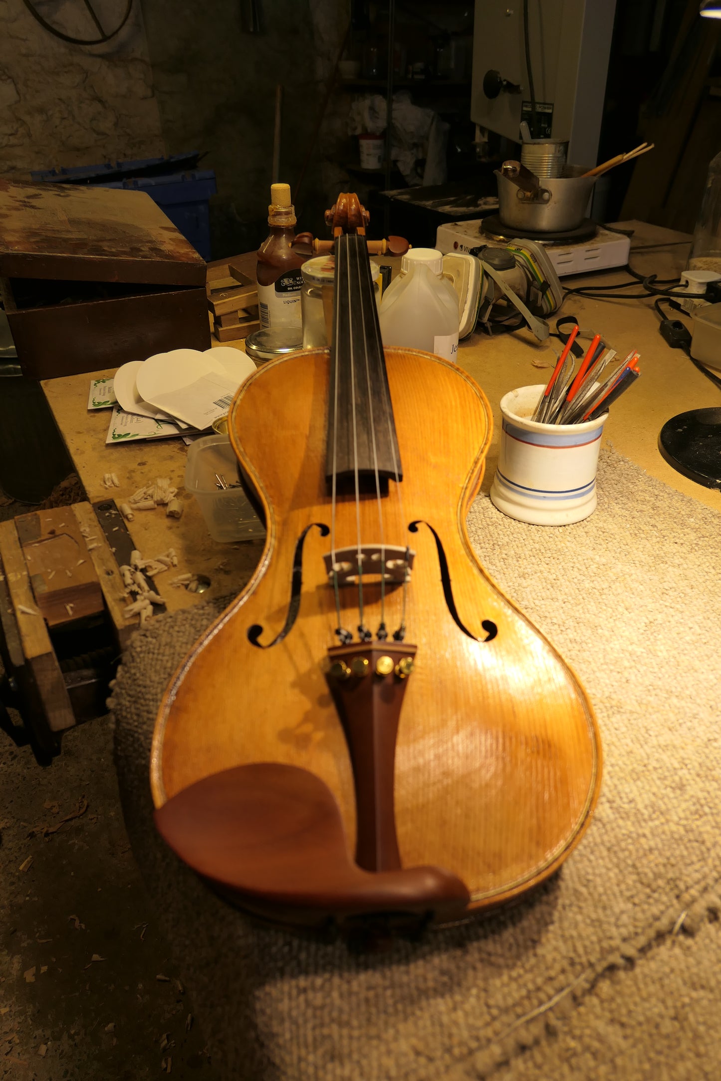 SOLD - Beechwood Cornerless violin #56