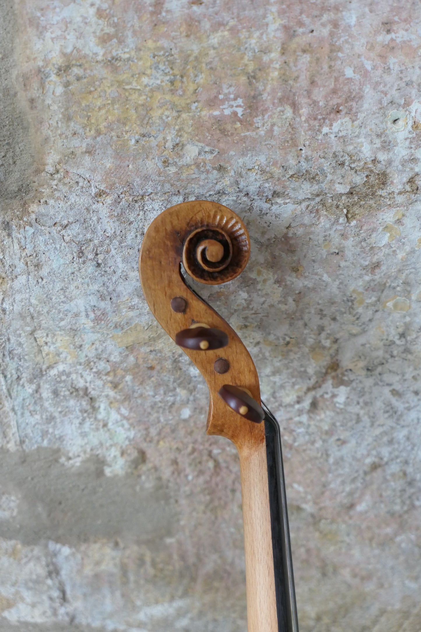 SOLD - Beechwood Cornerless violin #56