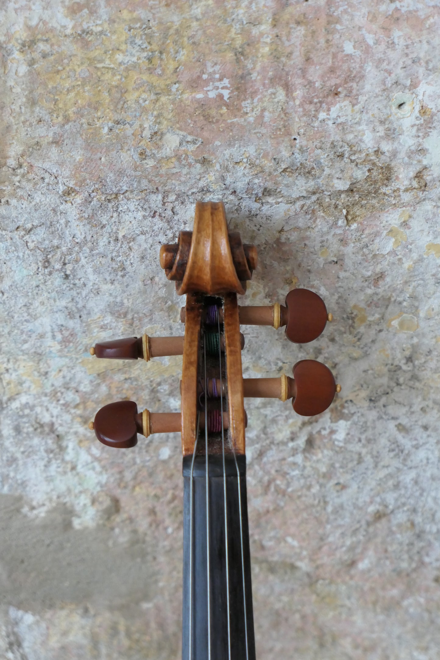 SOLD - Beechwood Cornerless violin #56