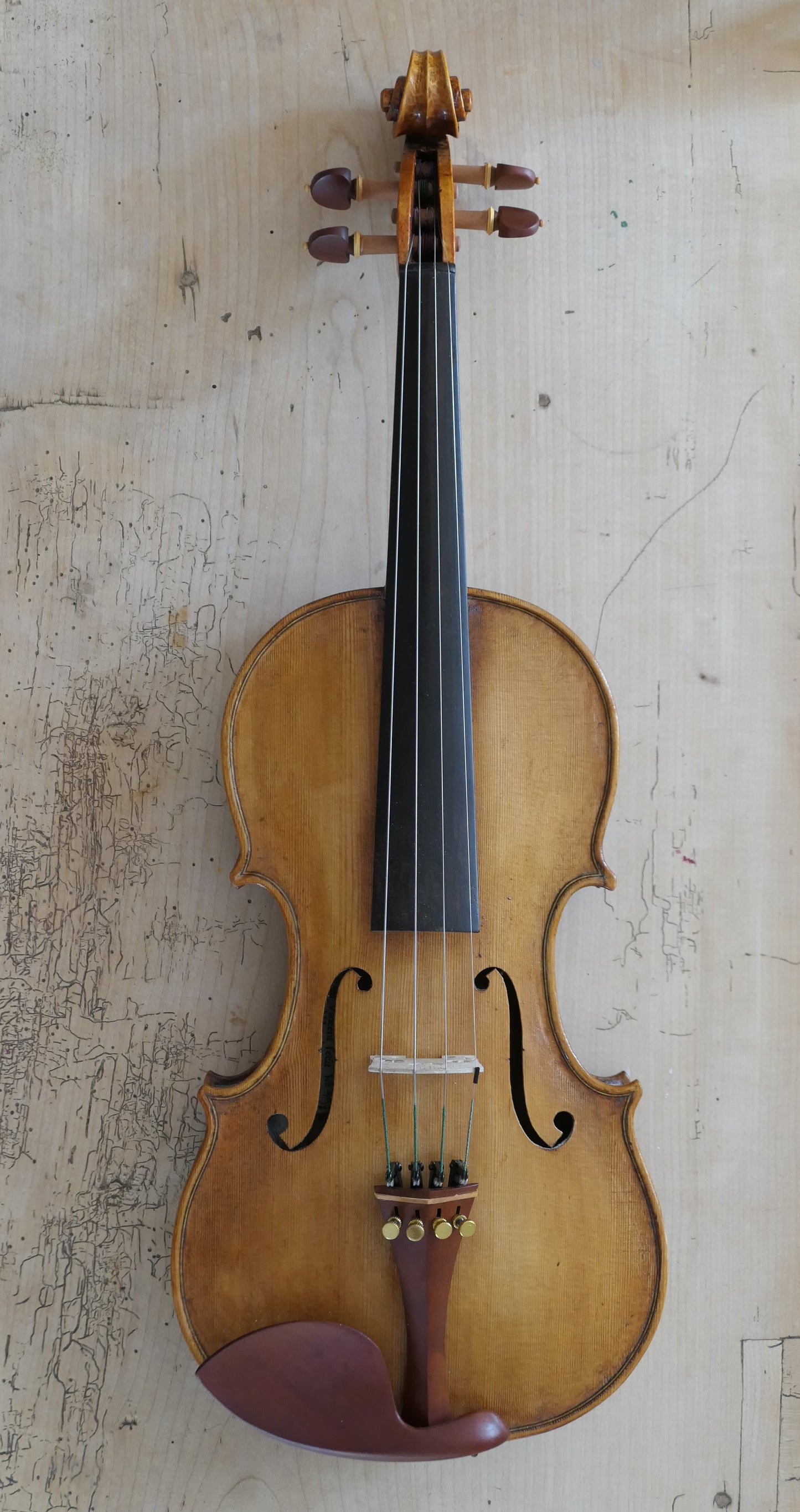 SOLD - Ash Violin with Spruce soundboard #49