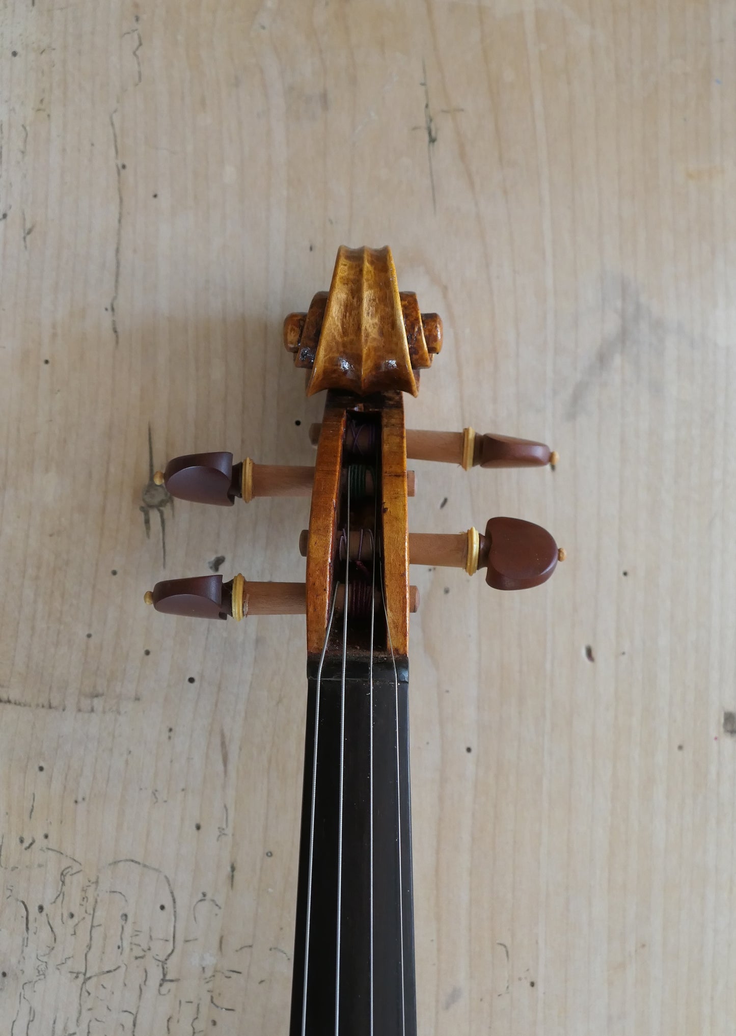 SOLD - Ash Violin with Spruce soundboard #49