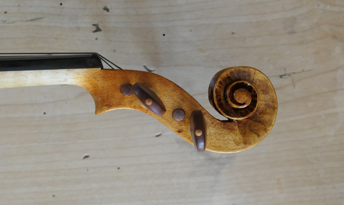 SOLD - Ash Violin with Spruce soundboard #49