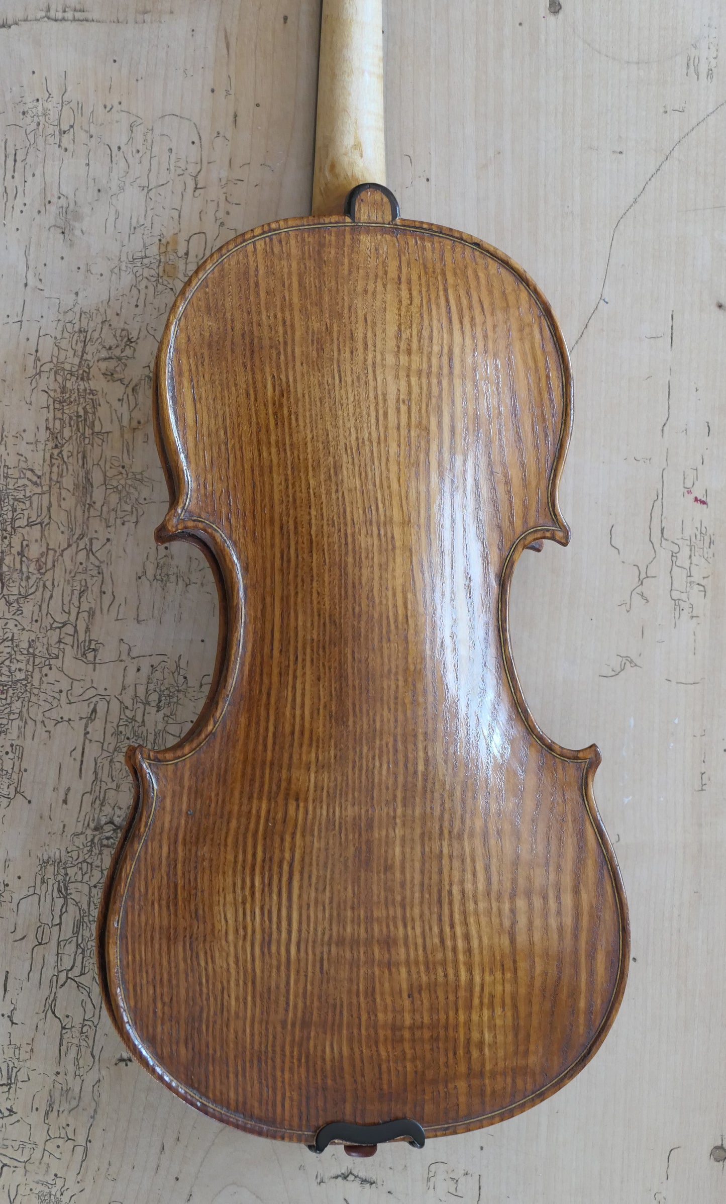 SOLD - Ash Violin with Spruce soundboard #49