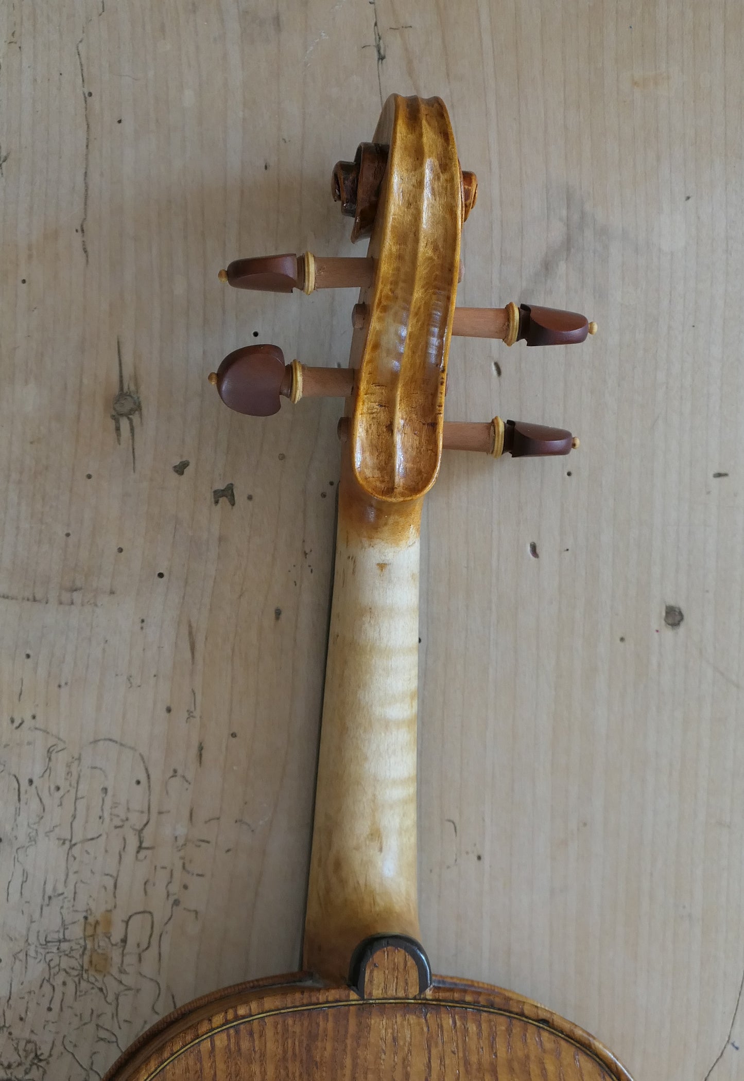 SOLD - Ash Violin with Spruce soundboard #49