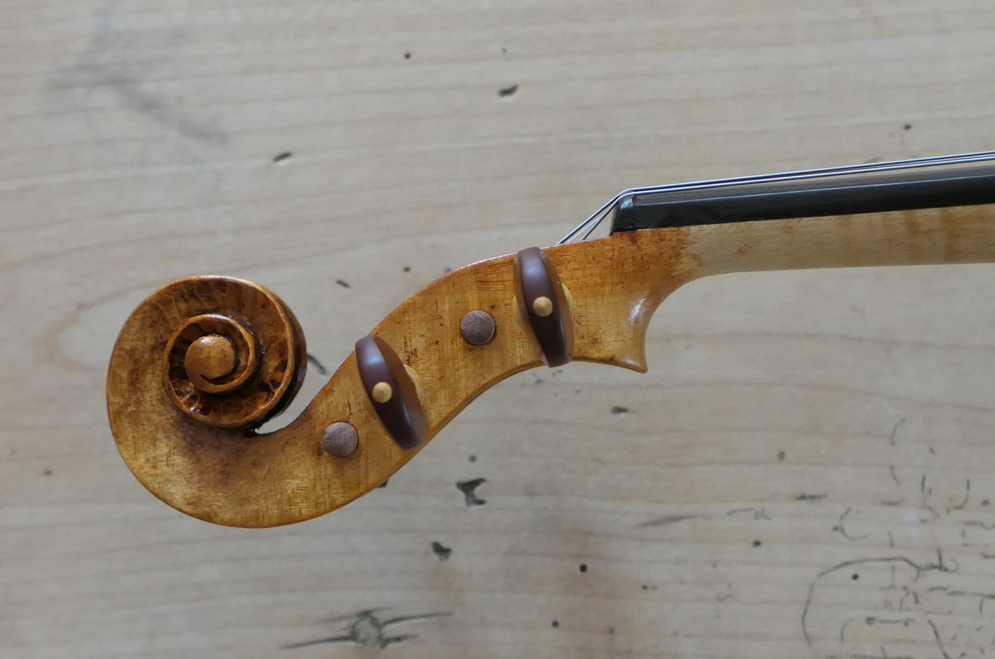 SOLD - Ash Violin with Spruce soundboard #49