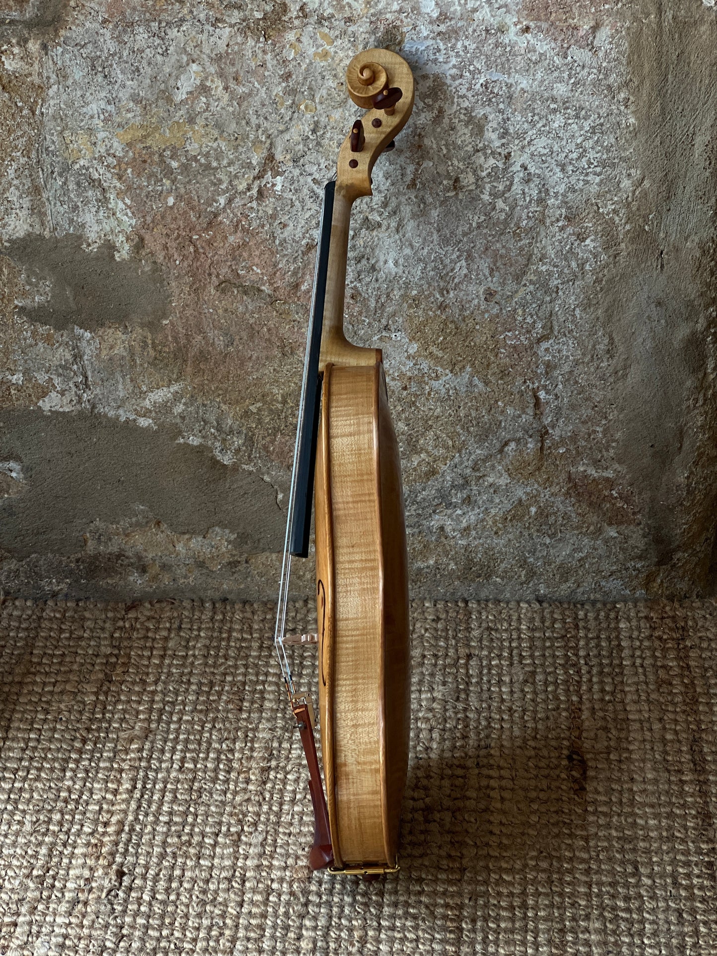 Cornerless violin in Maple and reclaimed Western White Pine # 73