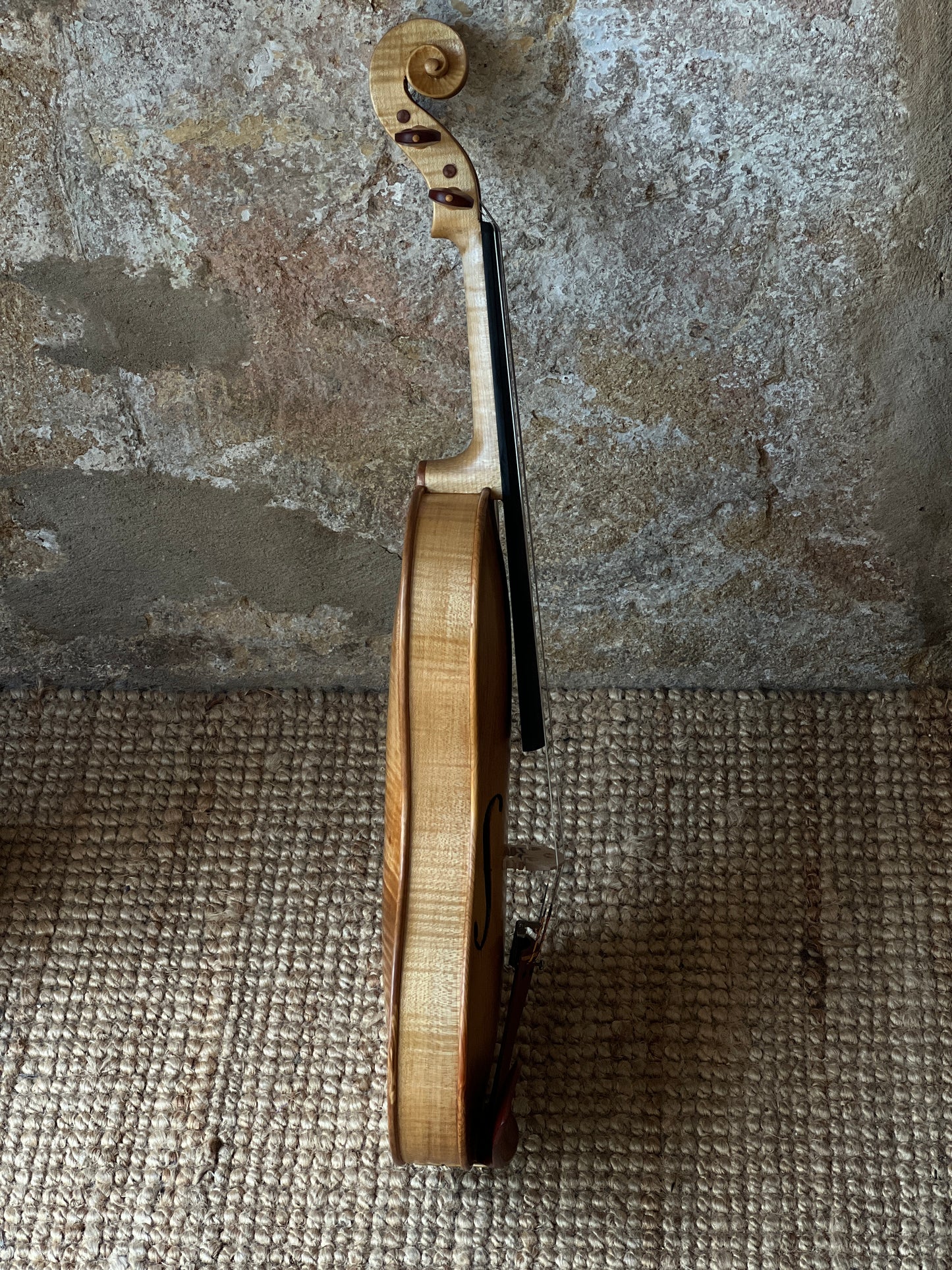 Cornerless violin in Maple and reclaimed Western White Pine # 73