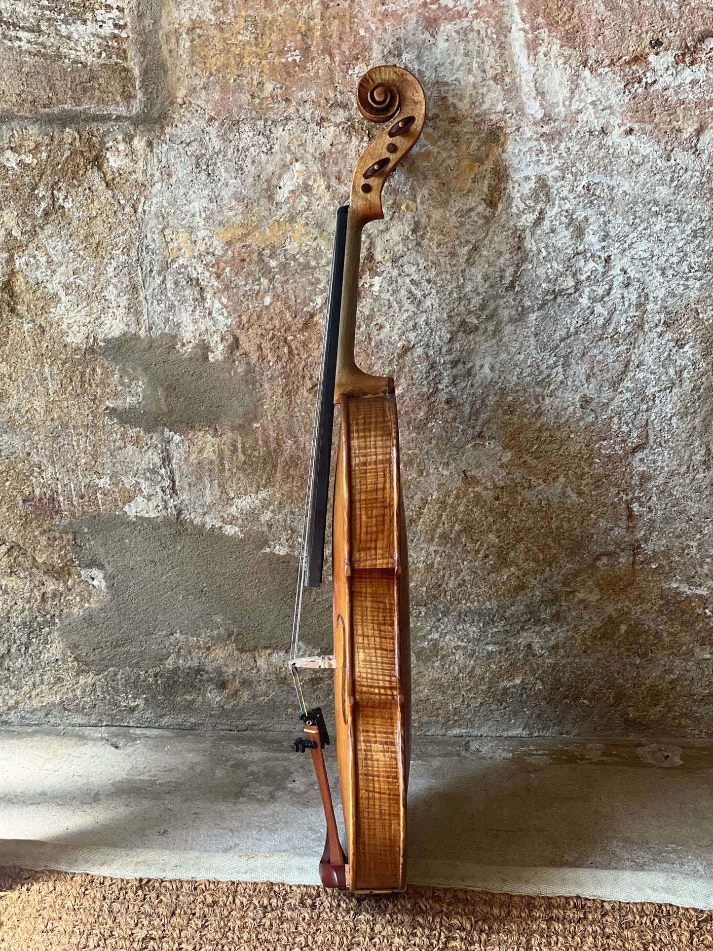 SOLD - Handmade English Violin in figured Ash "Tread Lightly Upon The Earth".