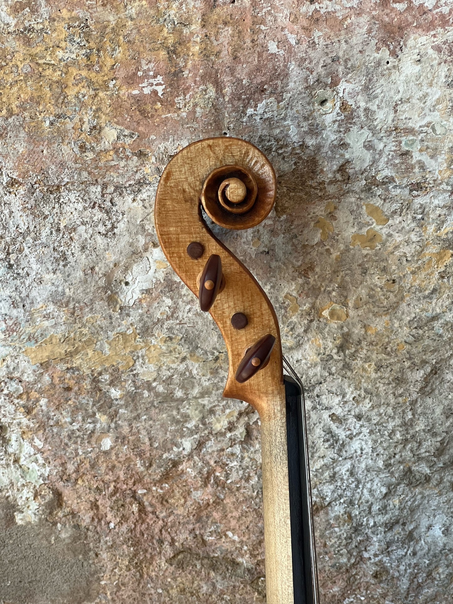 SOLD - Handmade English Violin in figured Ash "Tread Lightly Upon The Earth".