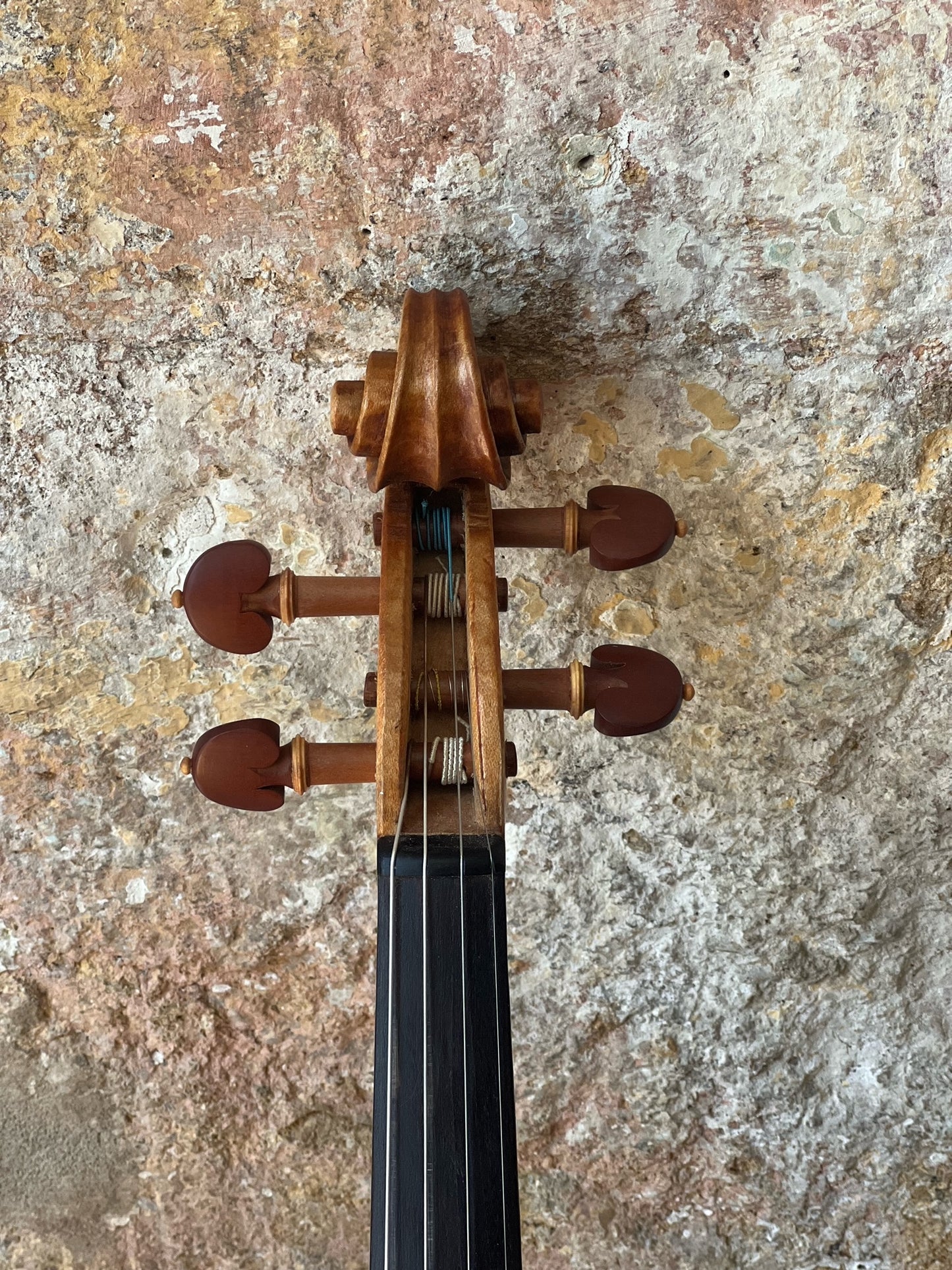 SOLD - Handmade English Violin in figured Ash "Tread Lightly Upon The Earth".