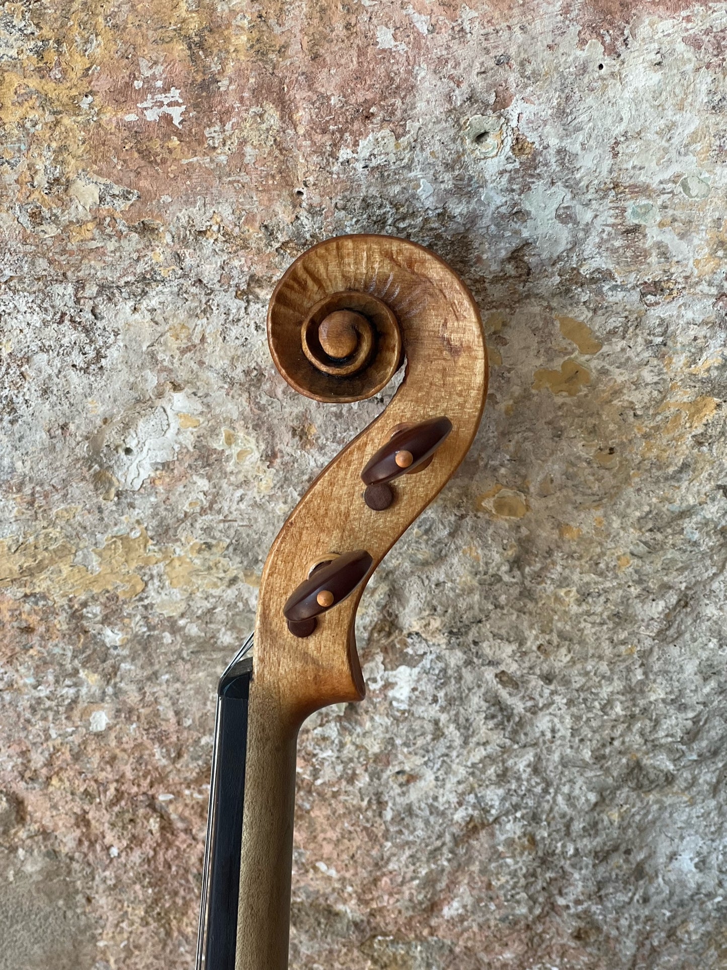 SOLD - Handmade English Violin in figured Ash "Tread Lightly Upon The Earth".