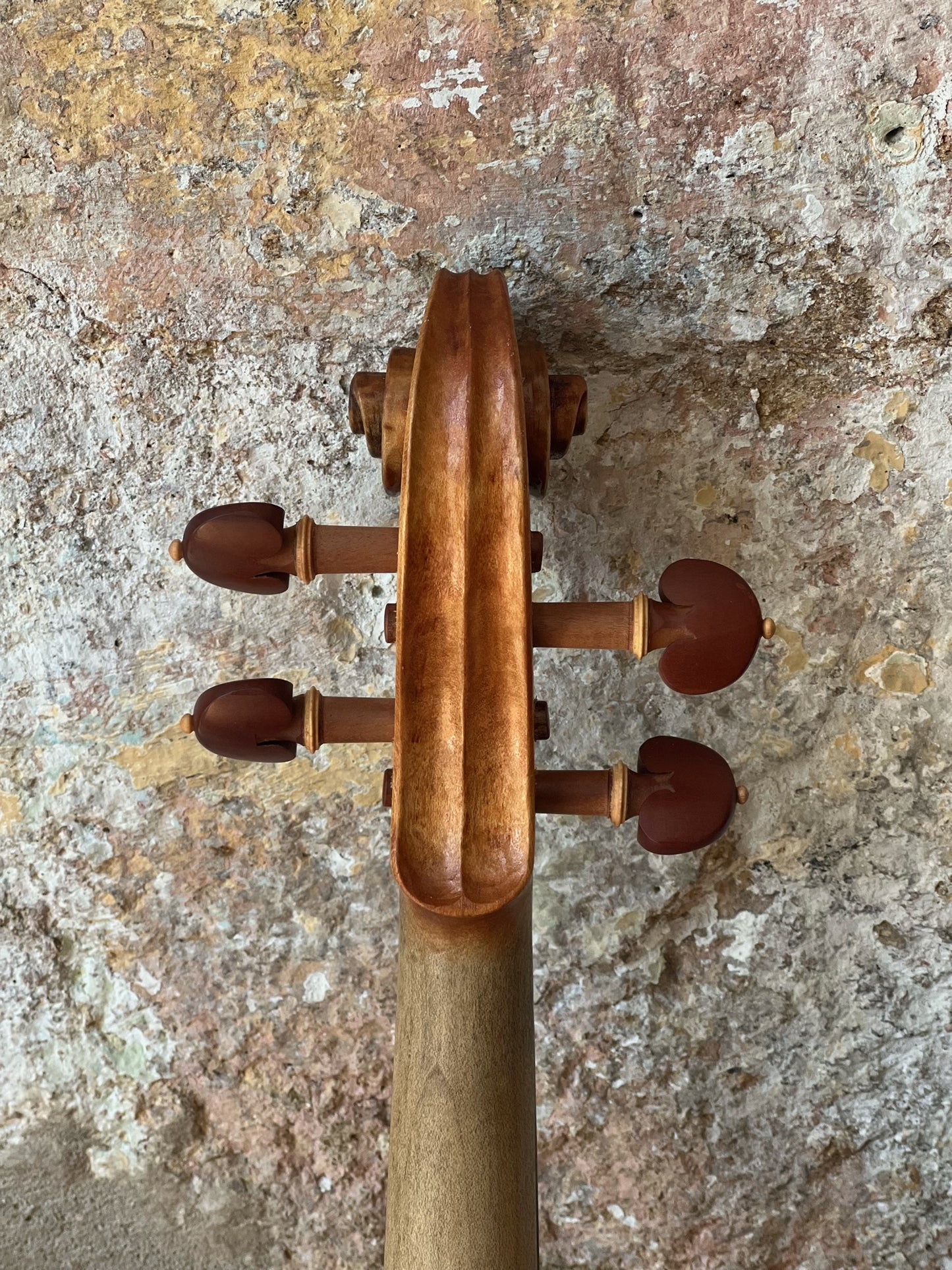 SOLD - Handmade English Violin in figured Ash "Tread Lightly Upon The Earth".